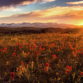 Wyoming Summer Sunset