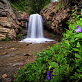 Adams Canyon Lower Falls Spring