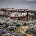 Miner's Cabin